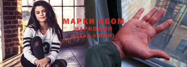 гашик Елизово
