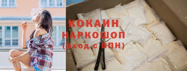 гашик Елизово