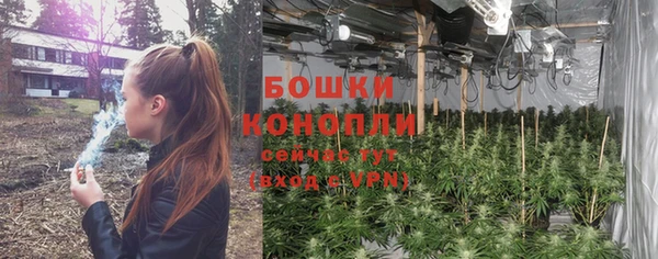 гашик Елизово