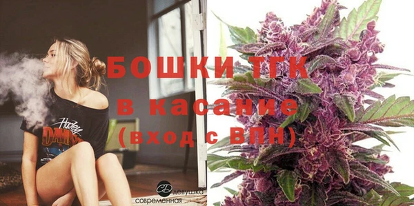 гашик Елизово