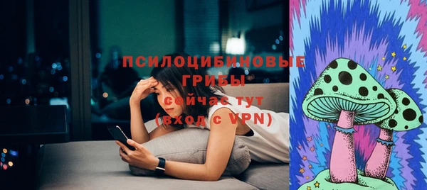гашик Елизово