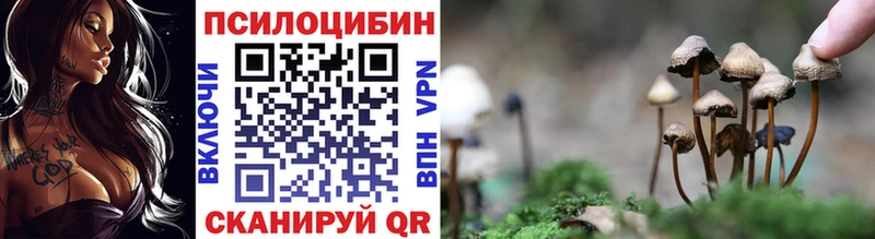 Псилоцибиновые грибы ЛСД Чегем
